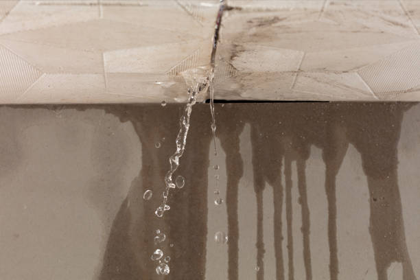 Professional Water Damage Inspection technician working in Springfield, NH